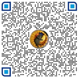 PayPal donation QR code